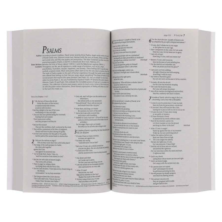 NLT Blue and Orange Watercolor Paperback Outreach Bible