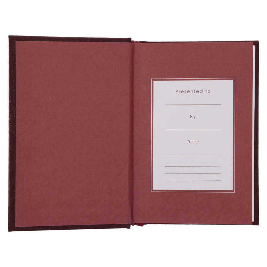 NLT Compact Bible Burgundy Hardcover