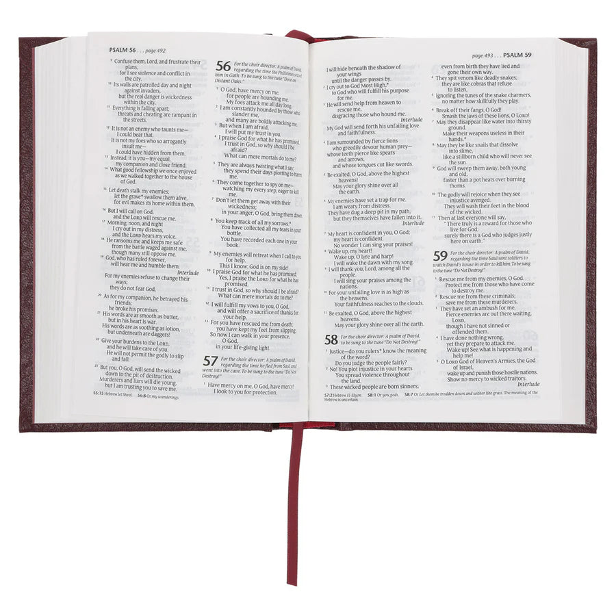 NLT Compact Bible Burgundy Hardcover