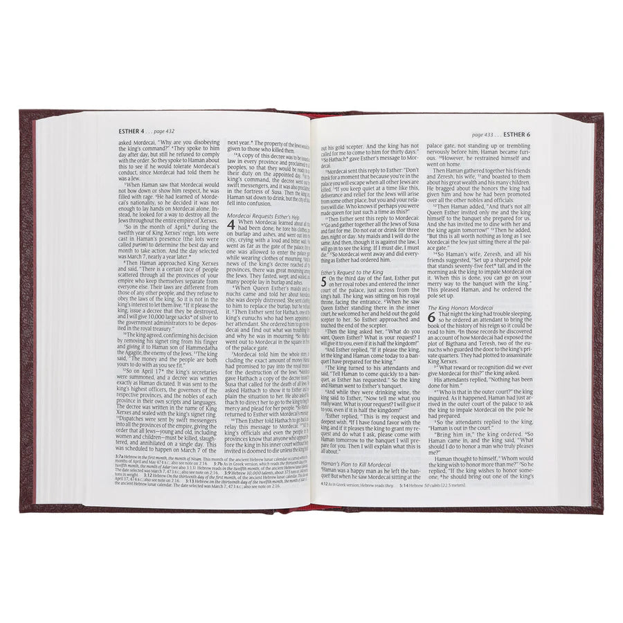 NLT Compact Bible Burgundy Hardcover