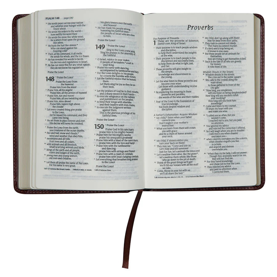 NLT Brown Faux Leather Flexcover Compact Bible