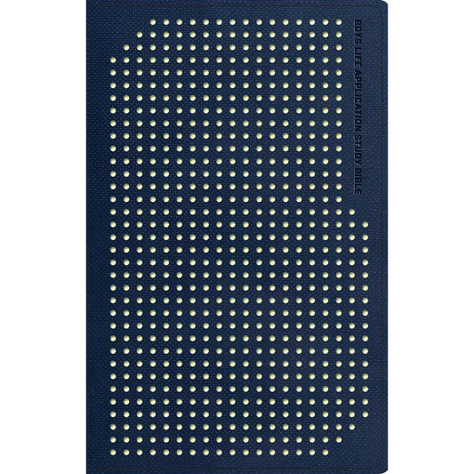 NLT Boys Life Application Study Bible, Indexed, TuTone, Blue / Neon / Glow (Imitation Leather)