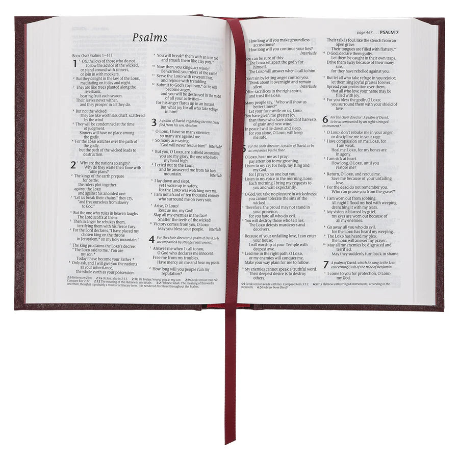 NLT Compact Bible Burgundy Hardcover
